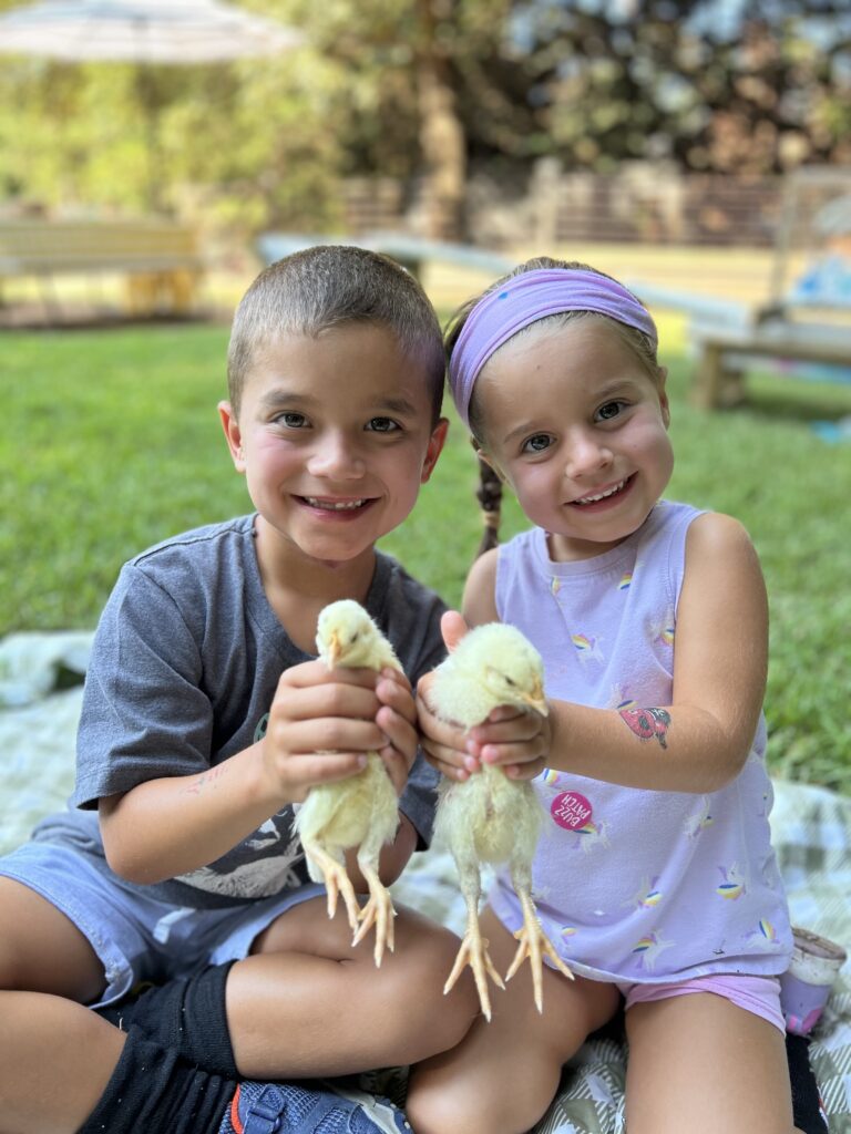 Two children holding baby chicks at the farm