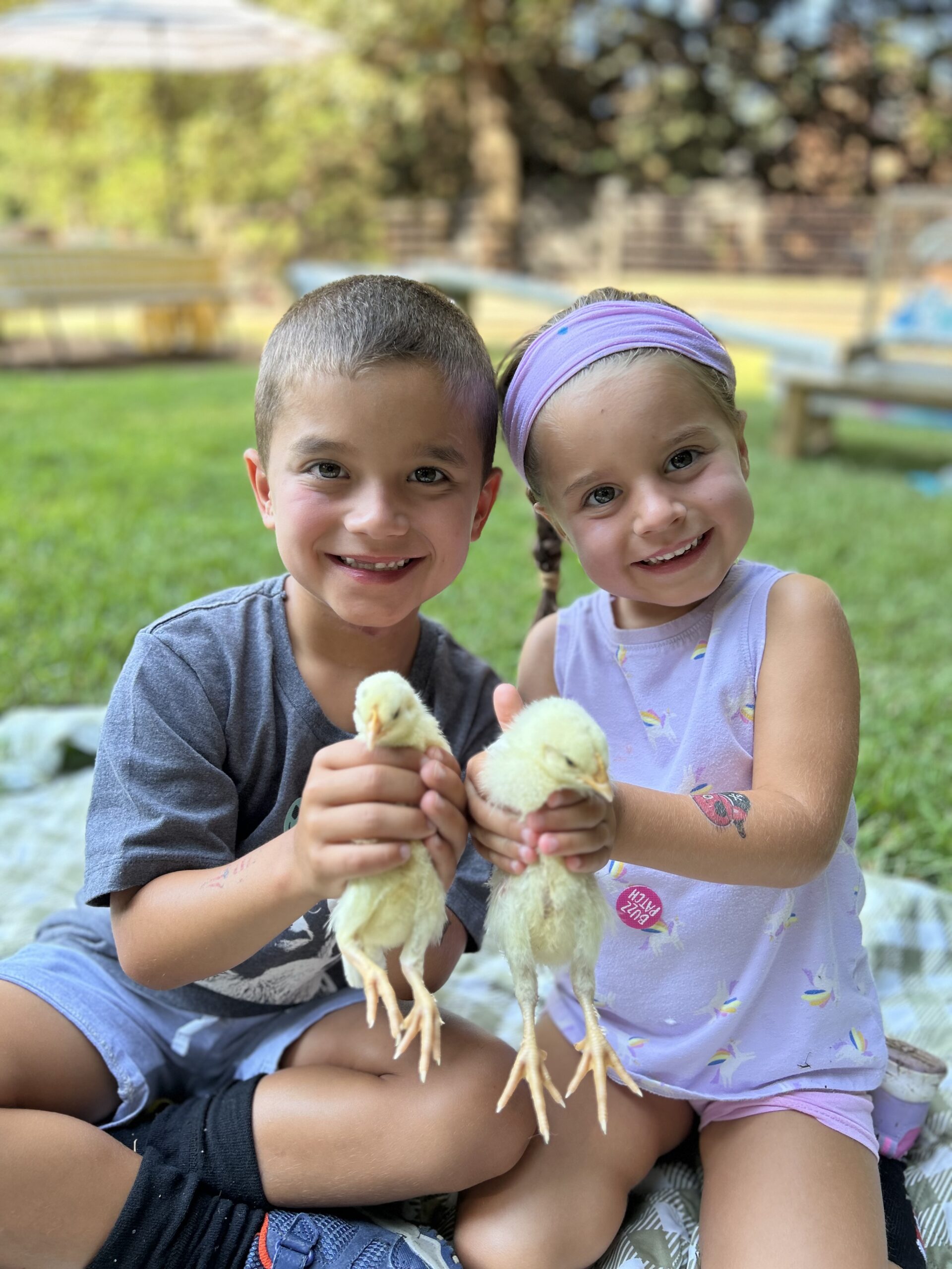 Two children holding yellow ducklings at the farm