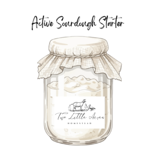 Ready-to-Bake Sourdough Starter