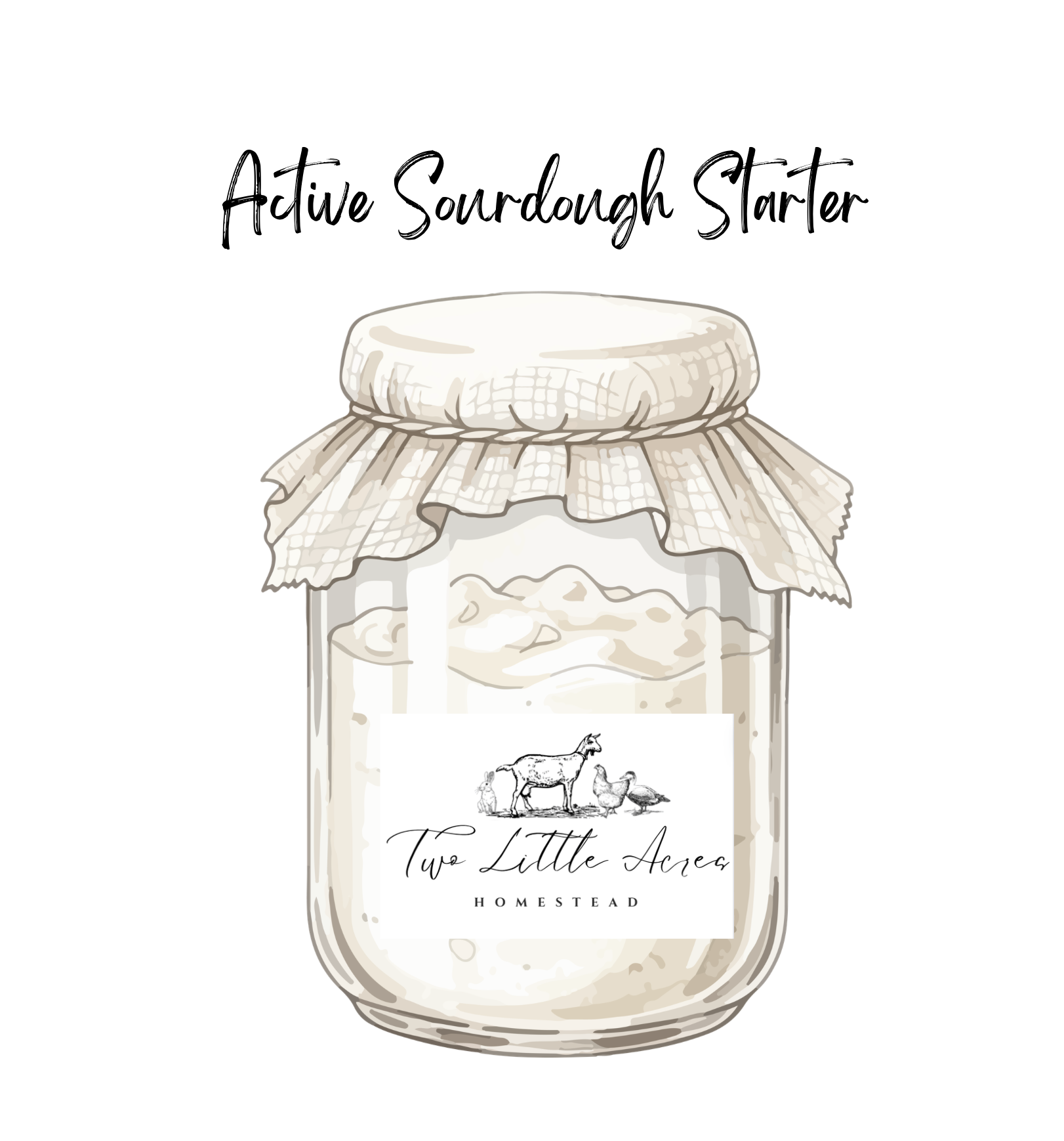 Ready-to-Bake Sourdough Starter