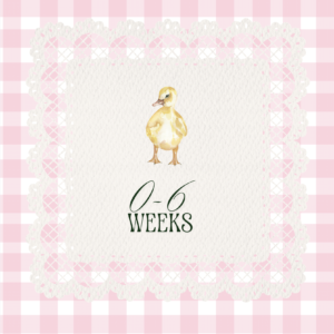 1 Month Old Ducklings | Straight Run