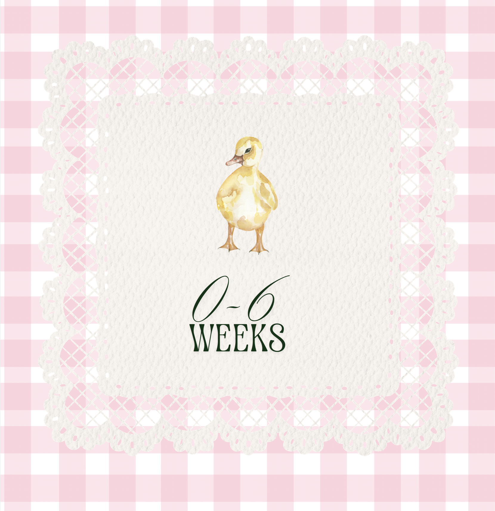 1 Month Old Ducklings | Straight Run