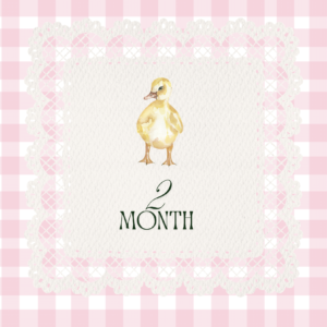 2 Month Old Ducklings | Straight Run