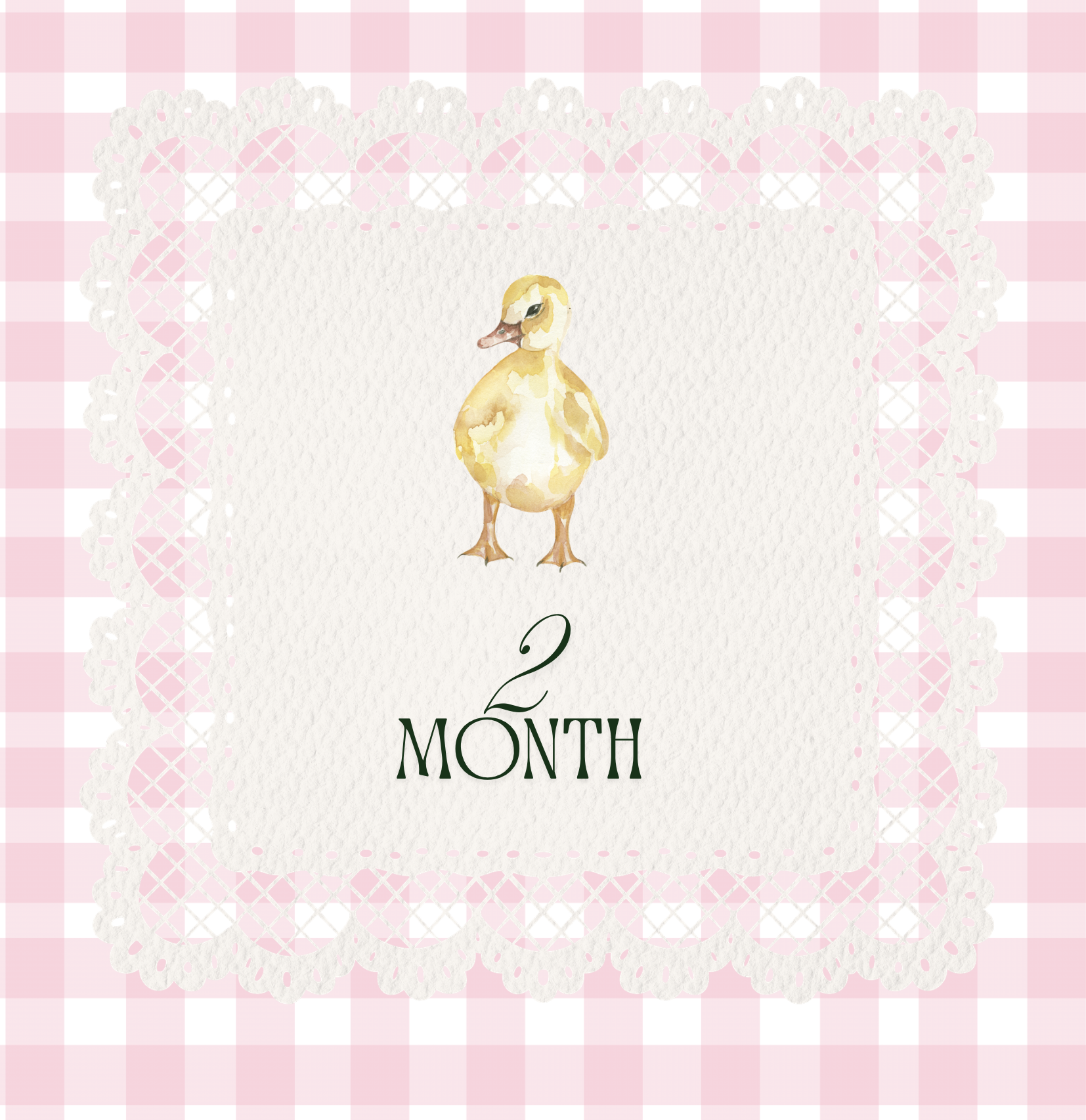 2 Month Old Ducklings | Straight Run